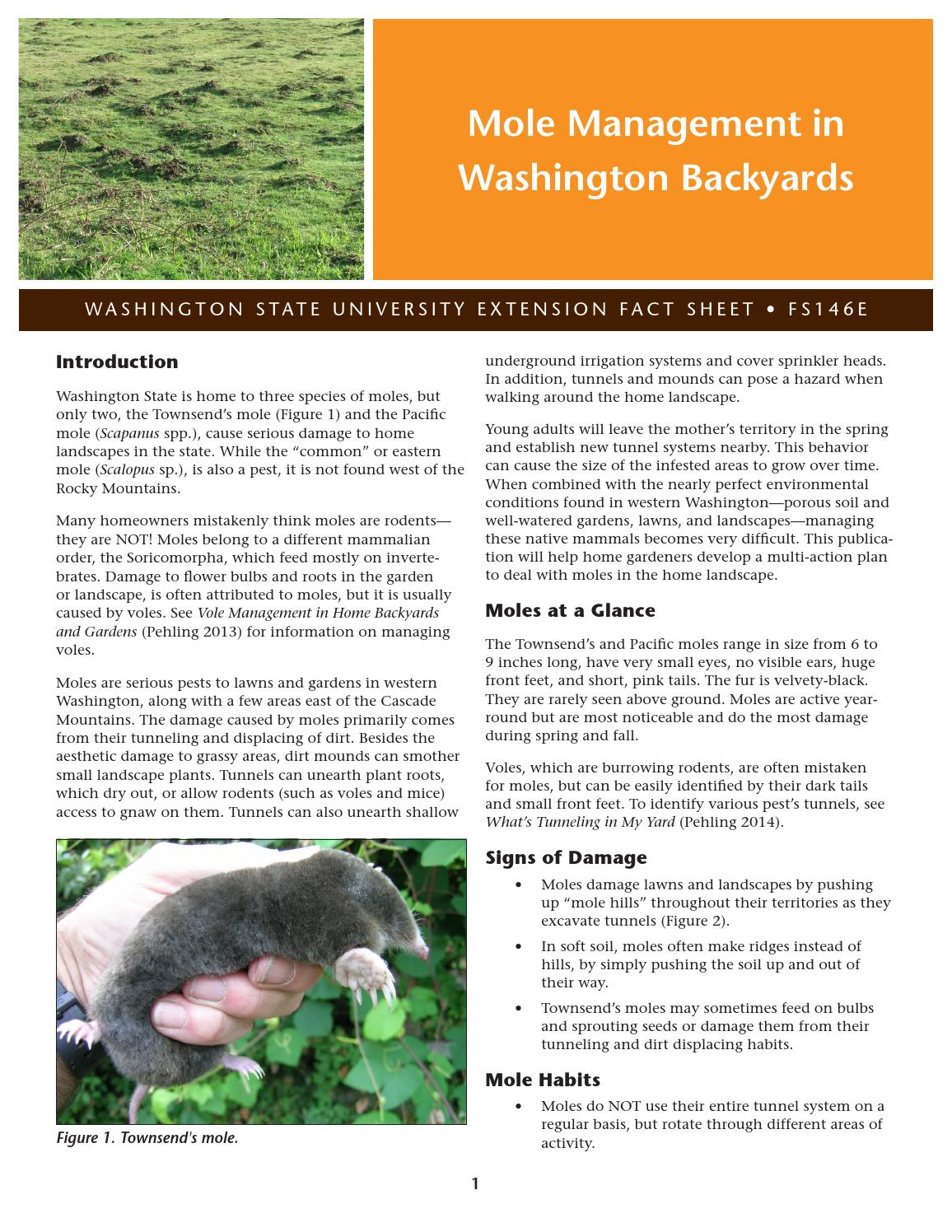 Overview Of Washington State Moles