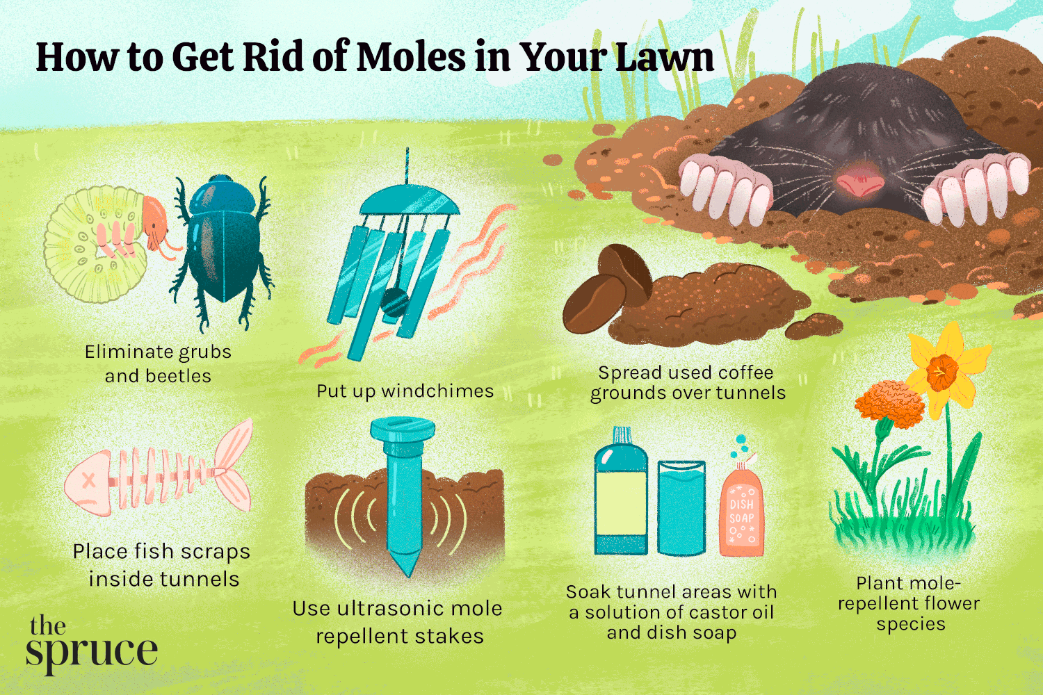 Types Of Mole Deterrents