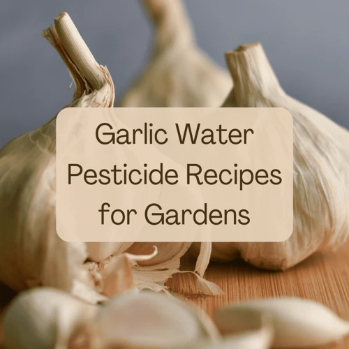 Garlic-Based Mole Control Solutions