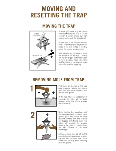 How To Maintain Your Mole Traps