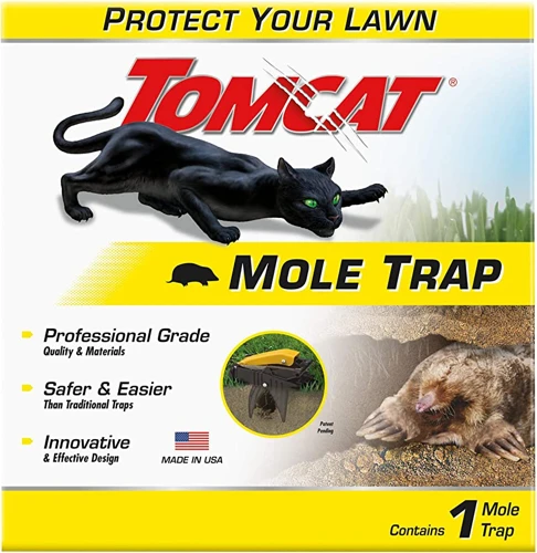 How To Set Up Mole Traps