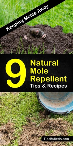 Natural Mole Repellents You Can Make At Home