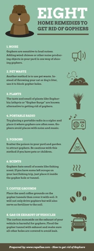 Natural Remedies For Moles Prevention