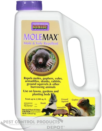 Preventing Moles From Coming Back