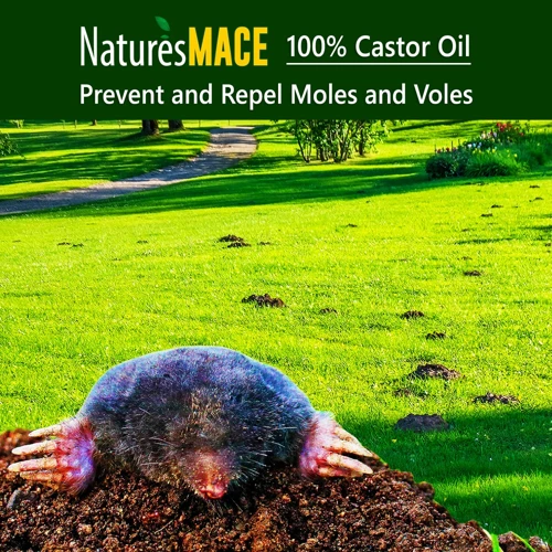 Repellent Plants That Deter Moles