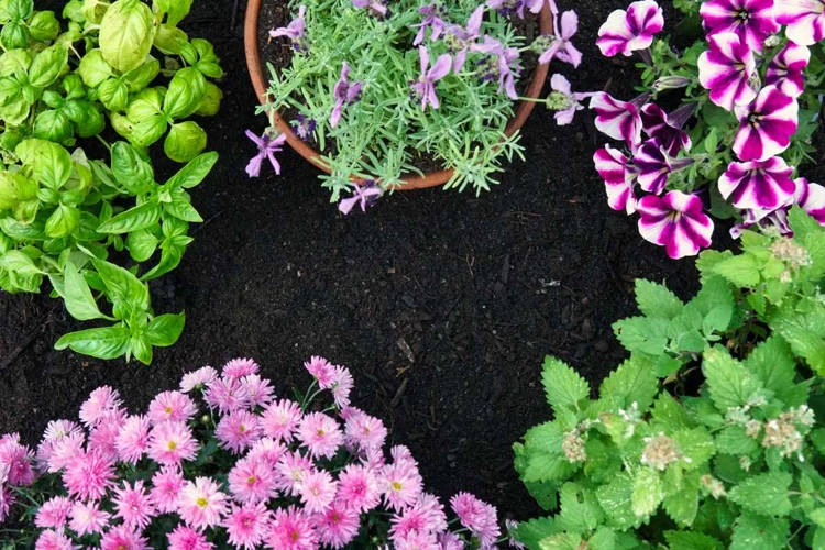 Repellent Plants That Work Best For Mole Control