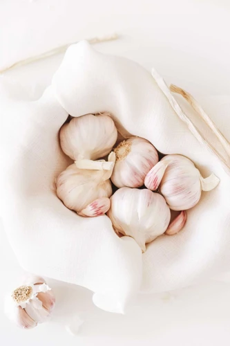 (Section 1) What Makes Garlic Effective As Mole Repellent?