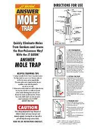 Step 2: Choose The Right Type Of Mole Trap