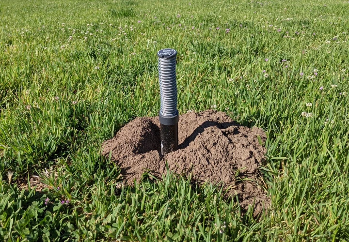 The Importance Of Detecting Mole Tunnels