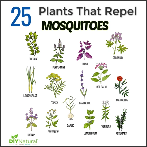 Why Repellent Plants Are Important